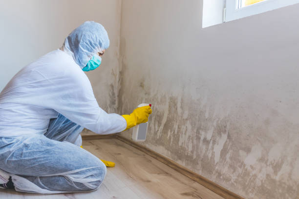 Hvac And Air Duct Mold Remediation inspection of HVAC system in Vincentown