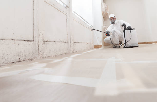 Black mold remediation team in Vincentown